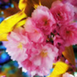 Meet your Posher, Kristina